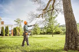 Best Tree Planting Services  in Pajaro, CA